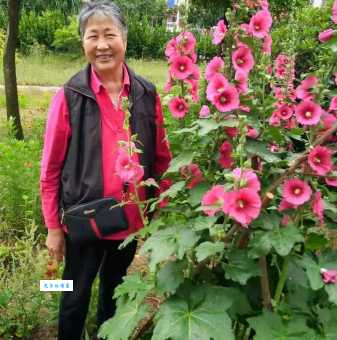 和蔼可亲的意思和表现 看看你符合几条