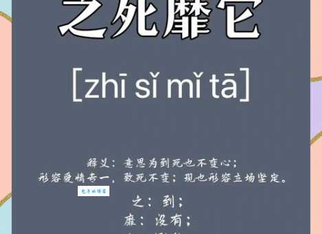 之死靡它是什么意思教你正确理解和使用