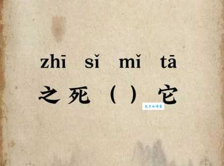 之死靡它是什么意思教你正确理解和使用