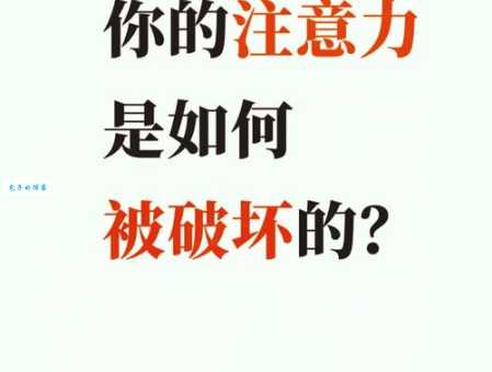 有的放矢的意思是什么如何做到精准发力