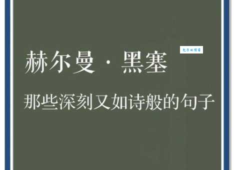 阿其那塞斯黑什么意思为什么大家都在搜索它