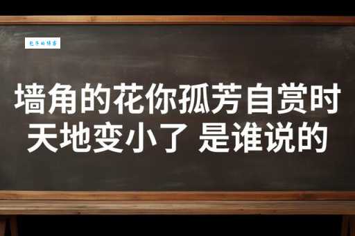 孤芳自赏的意思解析 如何正确理解这个成语