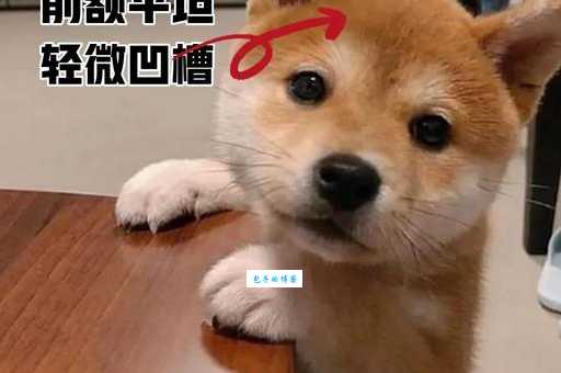 兴风作浪的意思详解 别再理解错了