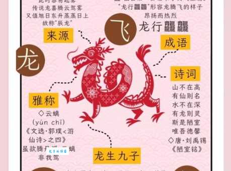 酒虎诗龙是什么意思这个成语的由来和用法解析