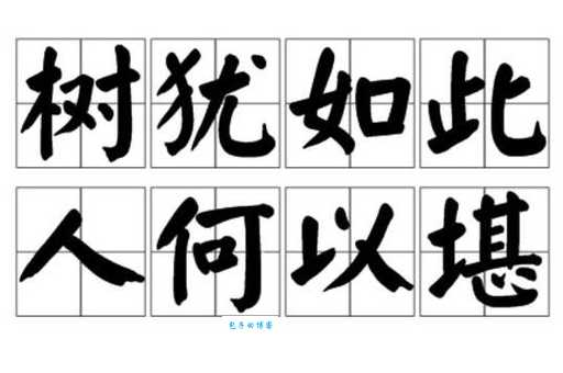 人何以堪是什么意思 成语解析让你说话更有内涵