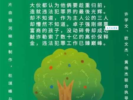 树大招风什么意思这个道理你必须要知道