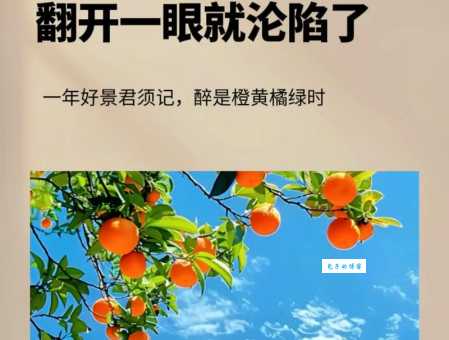 好景不长是什么意思 如何避免这种情况发生