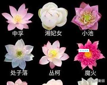 眼花缭乱的缭字解析 原来这么简单