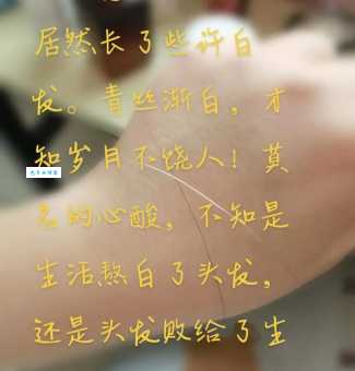 白发苍苍的意思与寓意 头发全白代表什么人生阶段