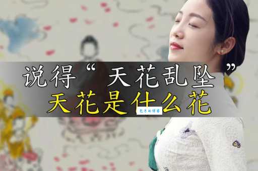 天花乱坠是什么意思啊 这个成语的由来你知道吗