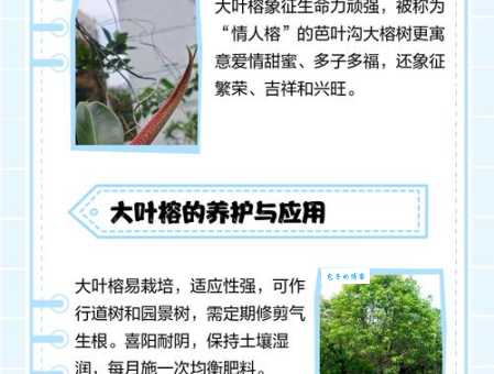 粗枝大叶的意思你知道吗 工作中粗枝大叶的危害