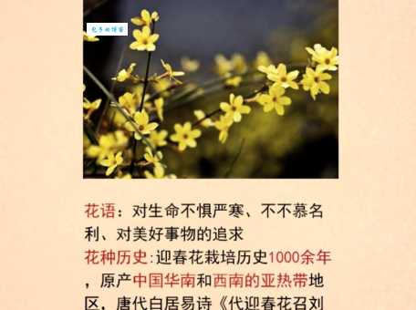 花枝招展的意思和近义词还有哪些类似表达方式