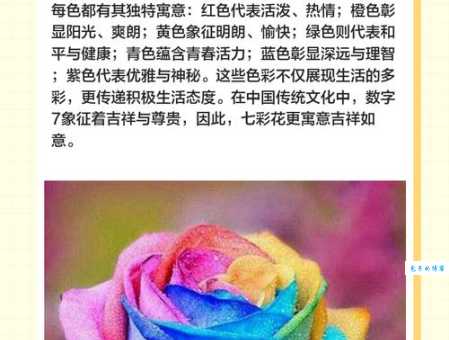 多姿多彩的意思解释 教你发现生活中的美好色彩