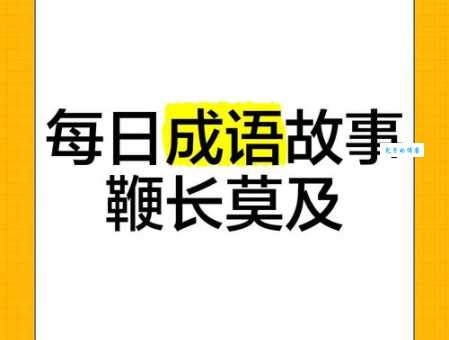 鞭长莫及的意思和用法 看完你就彻底明白了