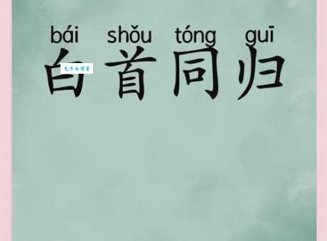 白首如新是什么意思这个成语的用法你了解吗