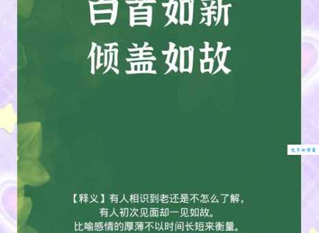 白首如新是什么意思这个成语的用法你了解吗