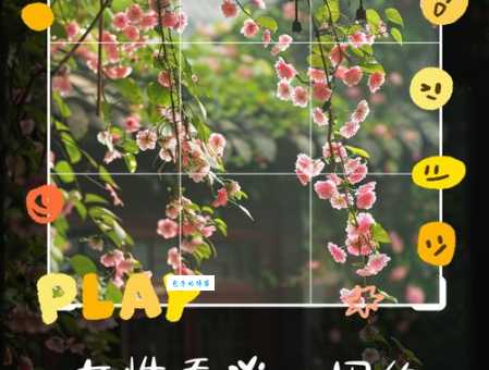 淡然一笑是什么意思 为什么说它是最高级的表情