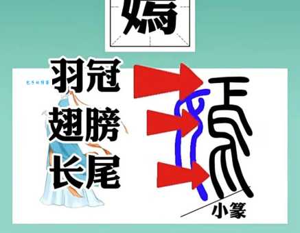 姹紫嫣红的嫣指什么 快速掌握嫣字的意思和读音