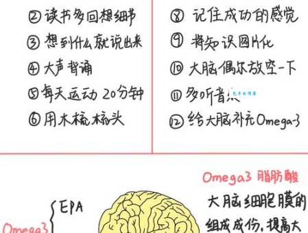 不遗余力的意思和用法 学习时怎样不遗余力