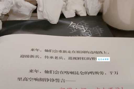 铁中铮铮的意思和用法这些例子一看就懂