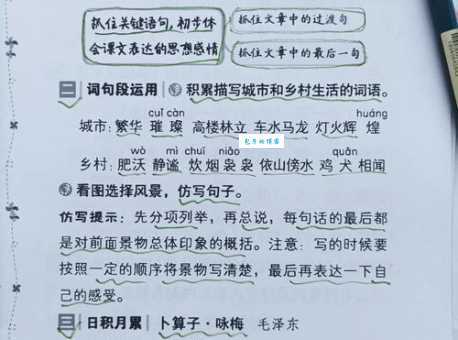 夯雀先飞的意思和例句学会用这个成语提升文采