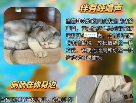 迷迷糊糊的意思和表现 如何快速摆脱这种状态