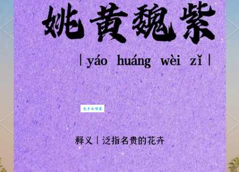 万紫千红的意思和典故一次给你讲清楚