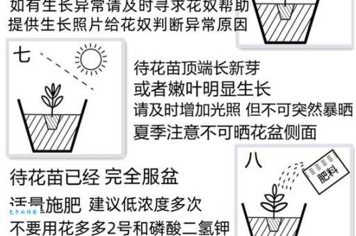 根壮叶茂是什么意思 养花种菜必知的生长规律