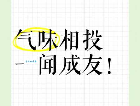 气味相投的意思和例子 生活中如何遇到对的人