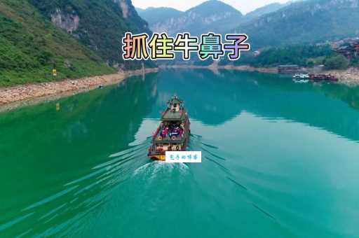 抓牛鼻子是什么意思 生活中如何抓住重点