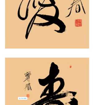 举世无双的举是什么意思 详细解释给你听