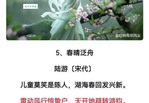 绿肥红瘦的意思你知道吗古人如何描绘春夏景色