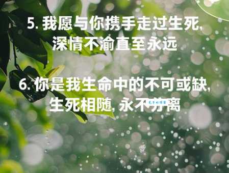 生死相依的意思和故事 那些感人至深的生死相依案例