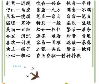 鼠目寸光的意思和近义词反义词大全