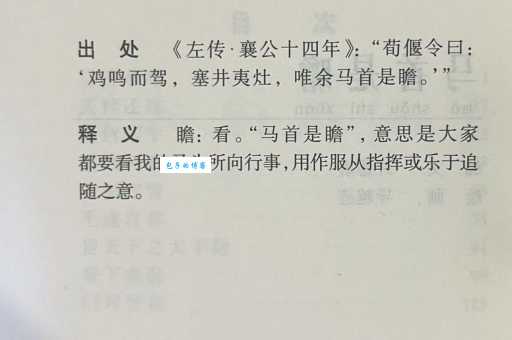 马首是瞻是什么意思 如何正确使用这个成语