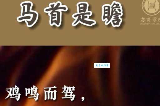 马首是瞻是什么意思 如何正确使用这个成语