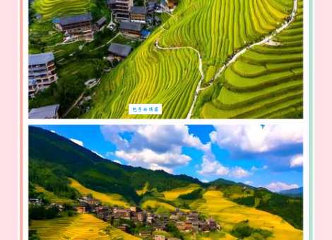 世外桃园的意思你知道吗 其实就在我们身边