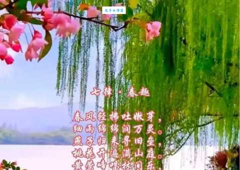 柳影花阴是什么意思原来古人这样形容美景