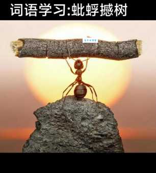 蚍蜉撼树什么意思 教你正确理解和使用这个成语