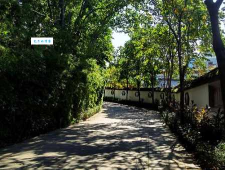 曲径通幽的意思简单说就是小路通往幽静地方