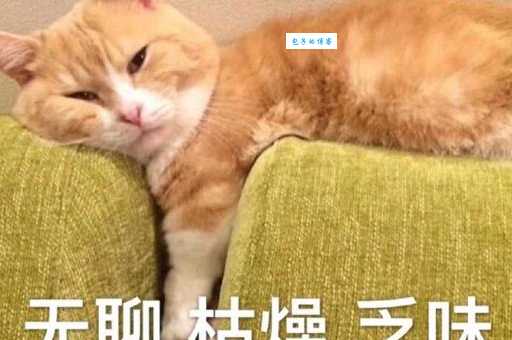 枯燥乏味的意思是什么如何让生活不再无聊