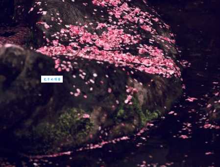 落英缤纷的意思和意境描写赏析