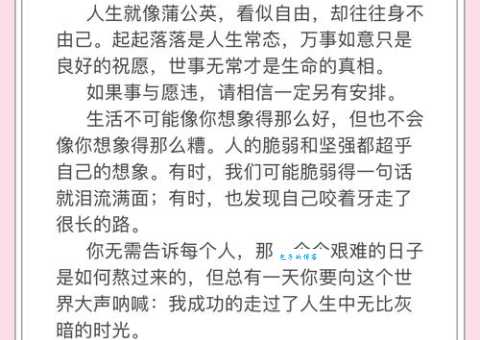 如愿以偿是什么意思看完这个例子你就懂了