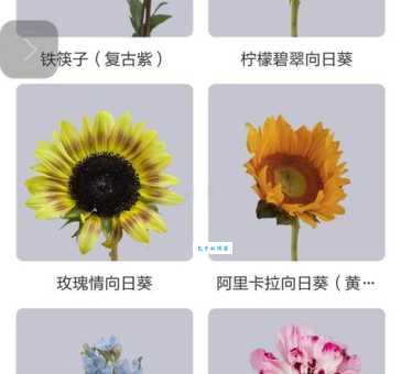 奇花异草的异是什么意思专家为你解答疑惑