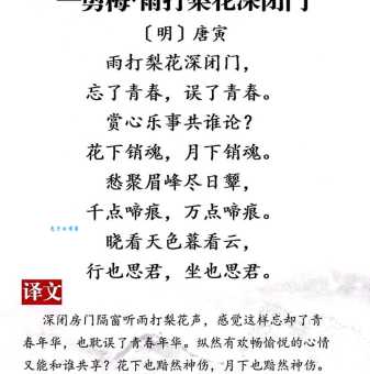 雨打梨花什么意思一句诗道尽春天的哀愁