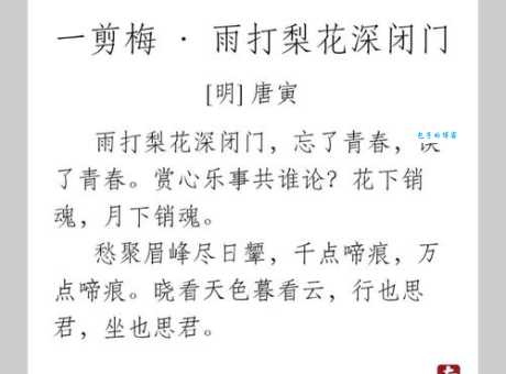 雨打梨花的意思是什么原来这么美你知道吗