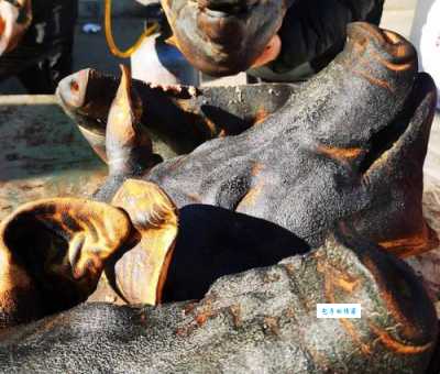 花不棱登是什么意思原来东北话这么有趣