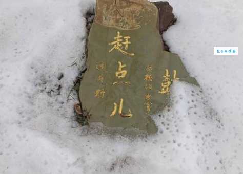 花不棱登是什么意思原来东北话这么有趣