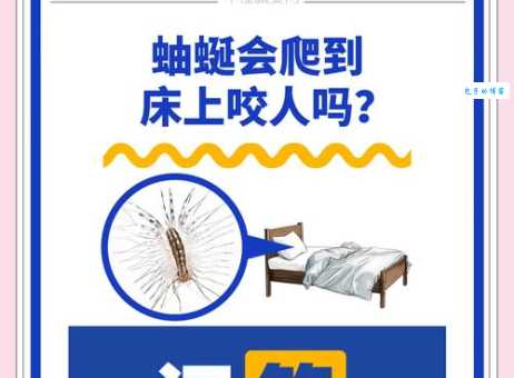 worm是什么意思 一分钟搞懂worm的意思