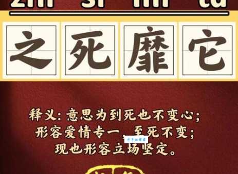 风靡的意思解析为什么它能成为热门词汇